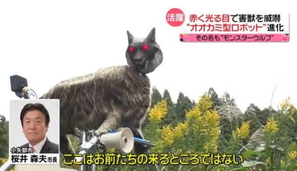 照片來源：日本電視台NEWS NNN