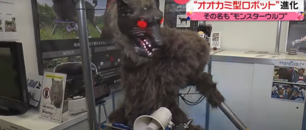 照片來源：日本電視台NEWS NNN