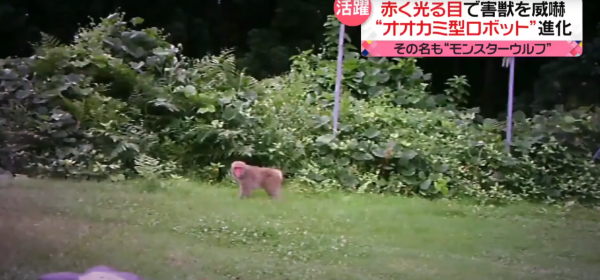 照片來源：日本電視台NEWS NNN