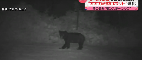 照片來源：日本電視台NEWS NNN