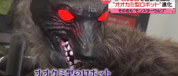 照片來源：日本電視台NEWS NNN