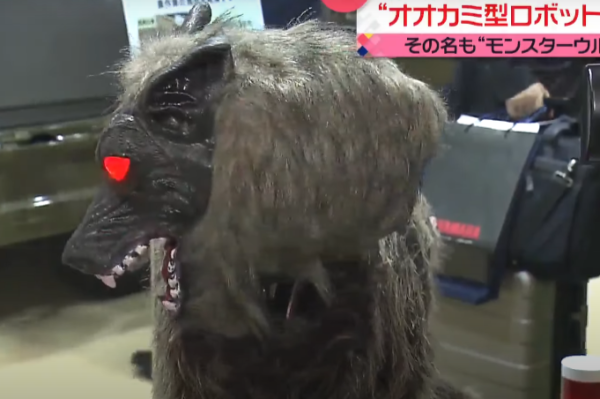 照片來源：日本電視台NEWS NNN