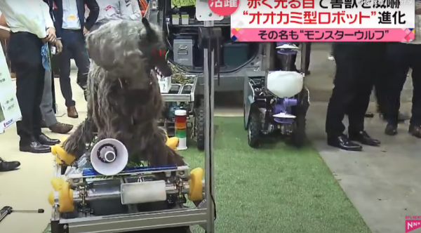 照片來源：日本電視台NEWS NNN