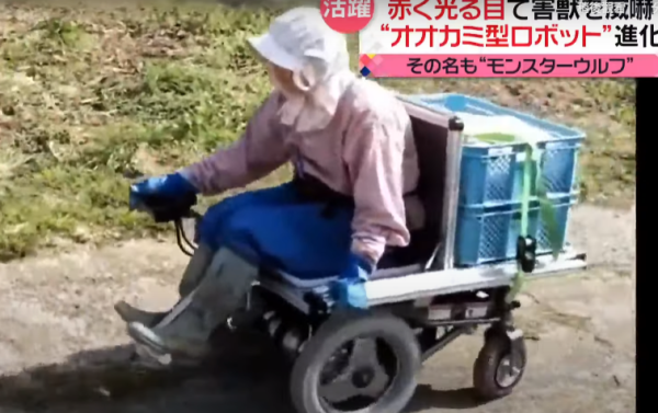 照片來源：日本電視台NEWS NNN