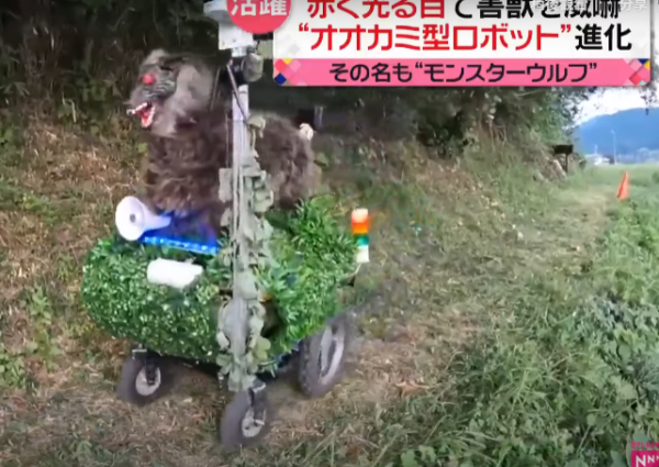 照片來源：日本電視台NEWS NNN