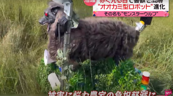 照片來源：日本電視台NEWS NNN