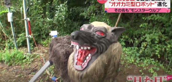 照片來源：日本電視台NEWS NNN