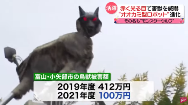 照片來源：日本電視台NEWS NNN