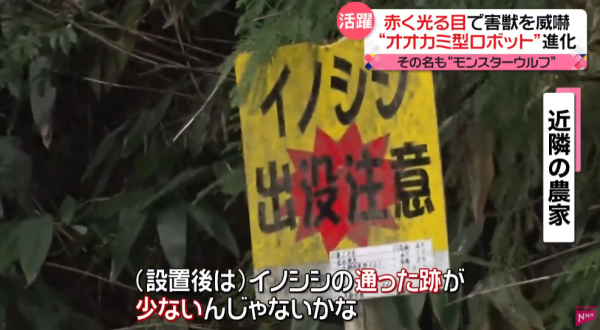 照片來源：日本電視台NEWS NNN