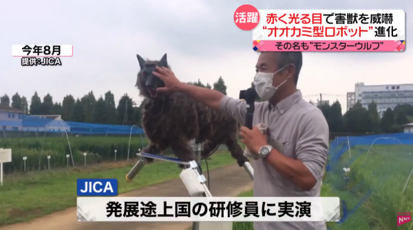 照片來源：日本電視台NEWS NNN