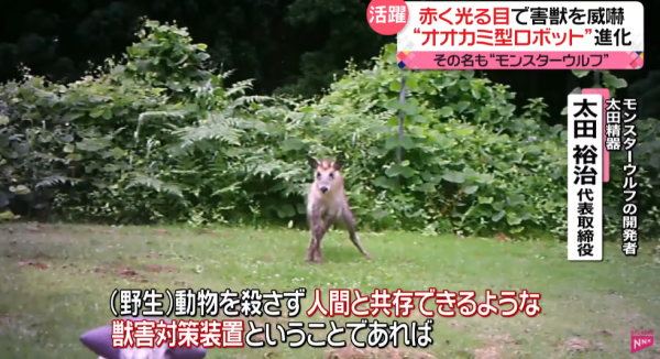 照片來源：日本電視台NEWS NNN