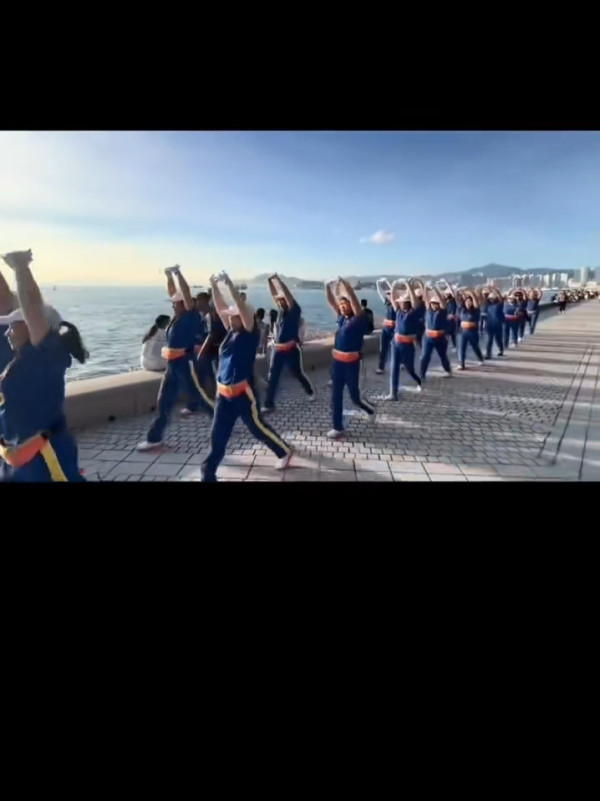 有片！內地「大媽大叔暴走團」現身維港 微博網民狠批：影響整個內地人形象 