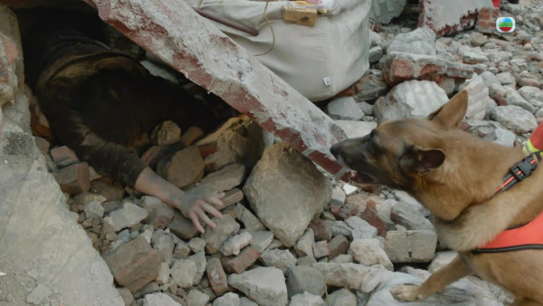 新聞女王2｜冧樓事件有原型源自真實事件 改編2010年馬頭圍道唐樓倒塌事故慘劇