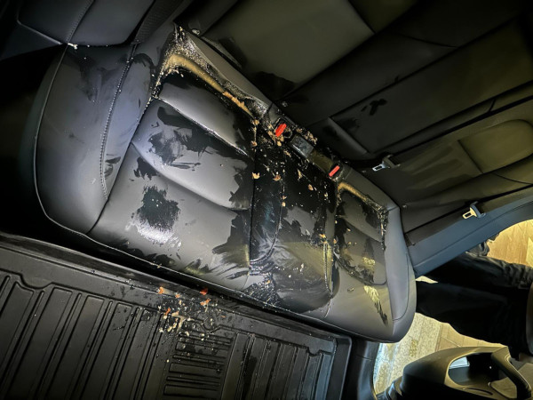 Tesla Model 3 地台直達電池慘遭「噴泉式」嘔吐淹沒 洗車店揭 $18000 天價清潔費背後