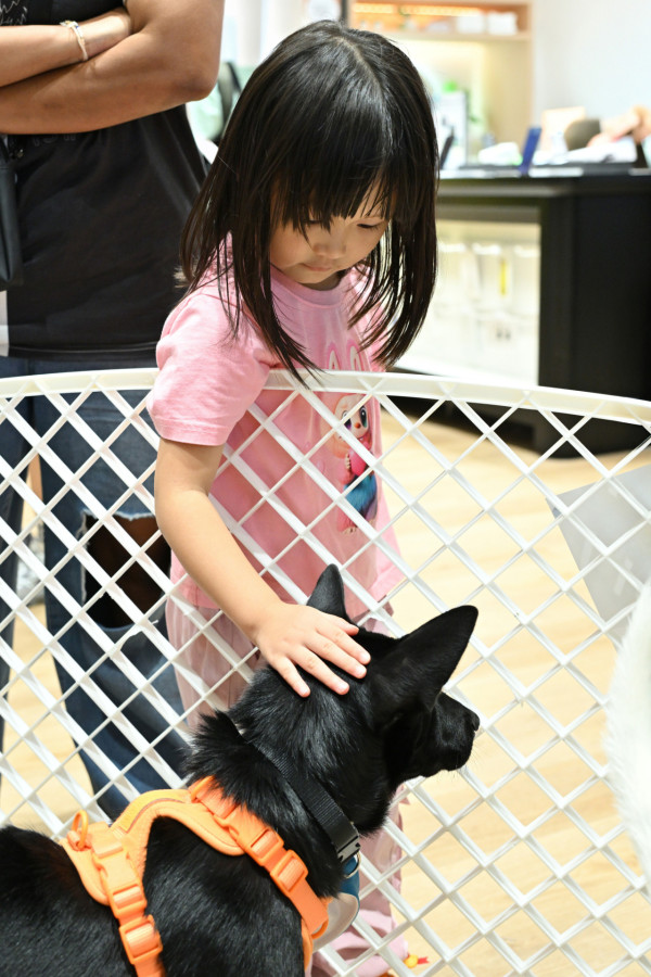 SAMSUNG啟德 AIRSIDE分店周末毛孩工作坊  DIY項鍊/攝影教室/寵物家品