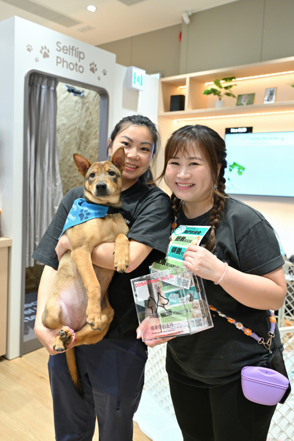 SAMSUNG啟德 AIRSIDE分店周末毛孩工作坊  DIY項鍊/攝影教室/寵物家品