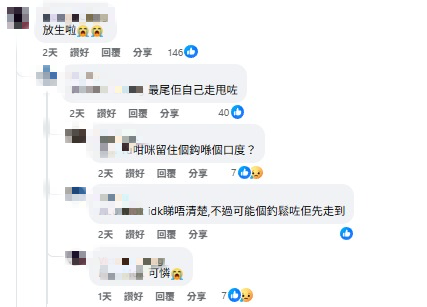 魔鬼魚現身筲箕灣海傍！意外被釣獲網民齊喊可憐「求放生」籲小心毒刺！下場曝光