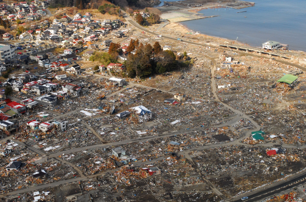 照片來源：網上圖片 