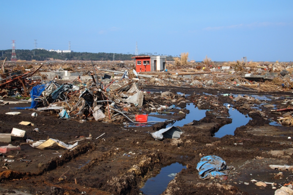 照片來源：網上圖片 