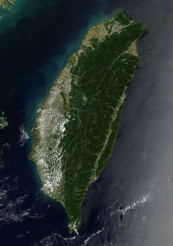 照片來源：網上圖片 