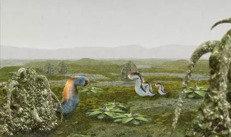 照片來源：網上圖片 