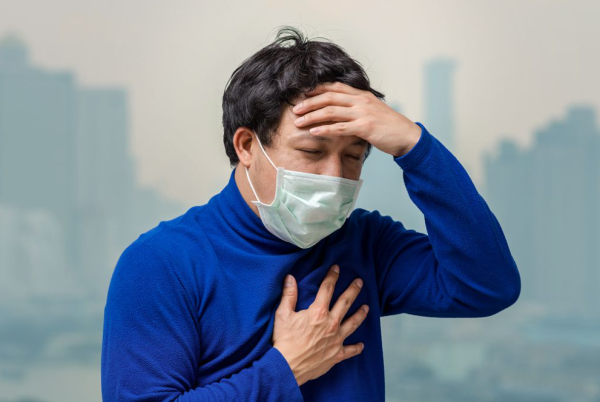 照片來源：網上圖片 