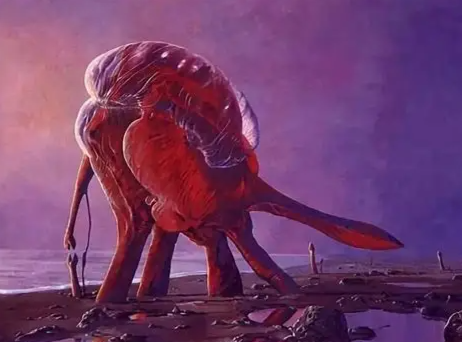 照片來源：網上圖片 