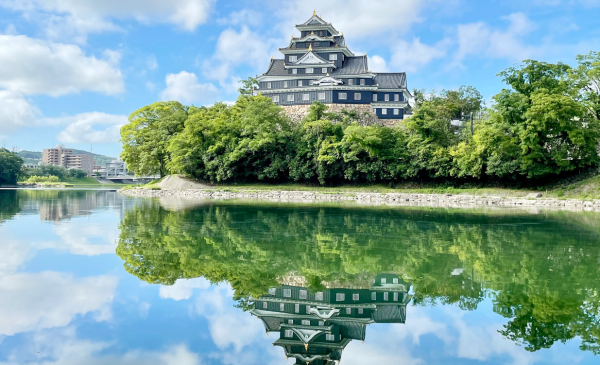 照片來源：網上圖片 