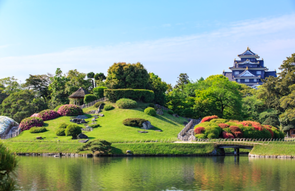 照片來源：網上圖片 