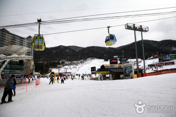 韓國滑雪
