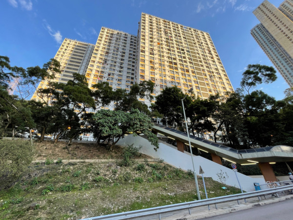 公屋首派大坑東「市區樓王」平租住豪宅區！網民：4大優勢贏私樓