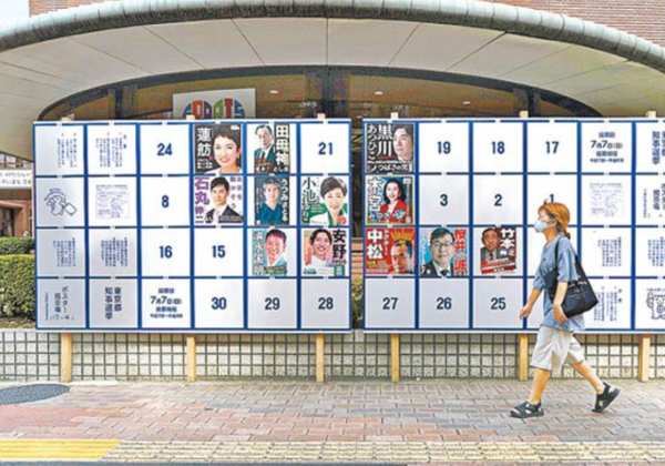 照片來源:網上圖片 照片來源:網上圖片