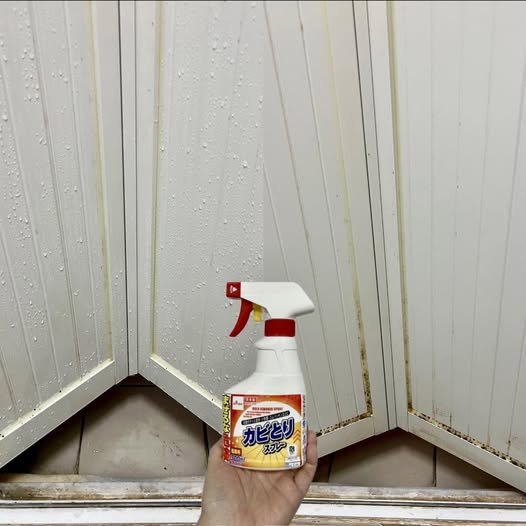 霉菌殺手|浴室膠邊發黑擦唔甩?12蚊店呢款「噴霧」極速去霉!網民實測:噴完免刷即變白