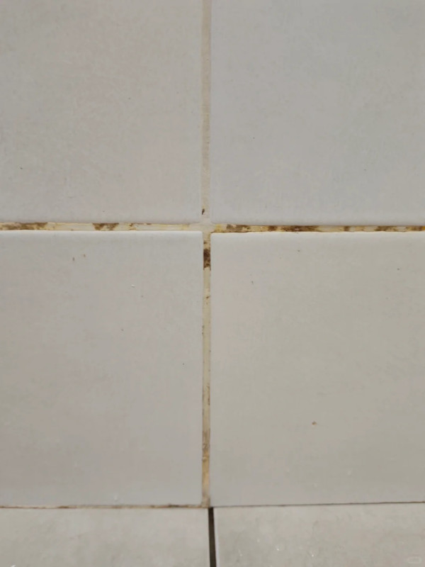 霉菌殺手｜浴室膠邊發黑擦唔甩？12蚊店呢款「噴霧」極速去霉！網民實測：噴完免刷即變白