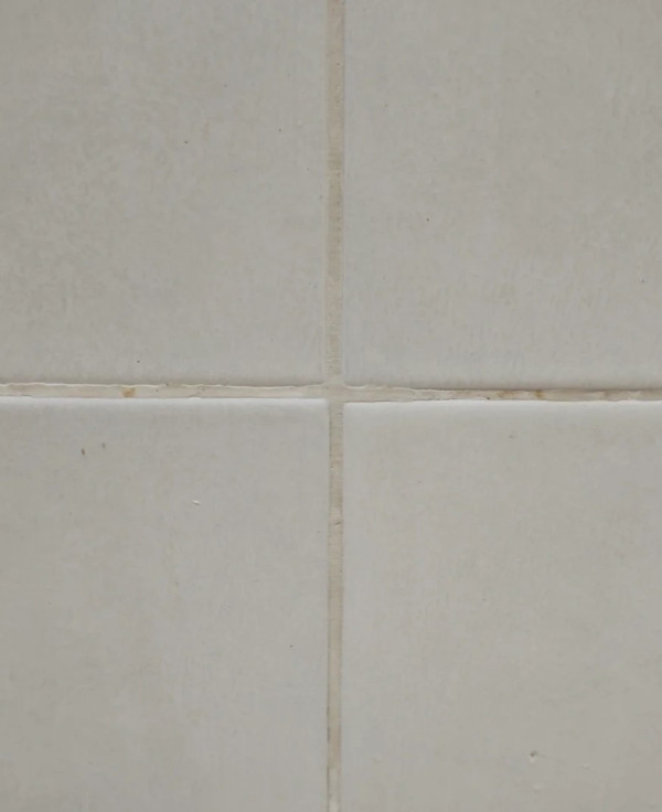 霉菌殺手｜浴室膠邊發黑擦唔甩？12蚊店呢款「噴霧」極速去霉！網民實測：噴完免刷即變白