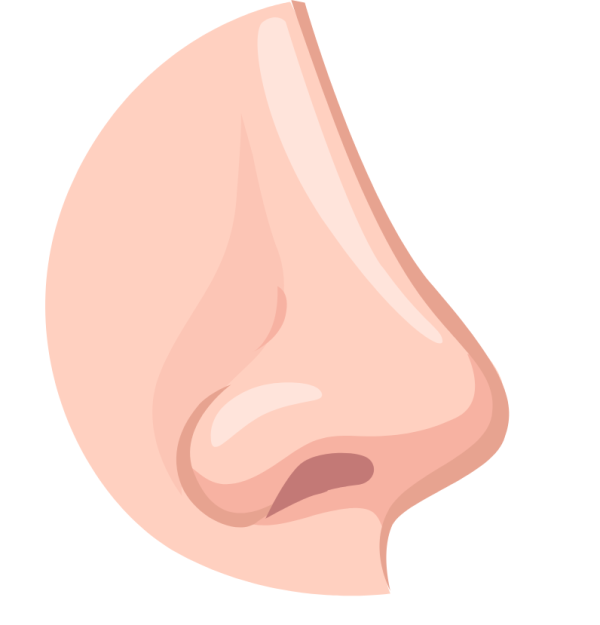 請工人面相︱蘇民峰教睇菲傭/司機/保鑣面相 呢種面相聽教聽話？鼻樑太高難相處？