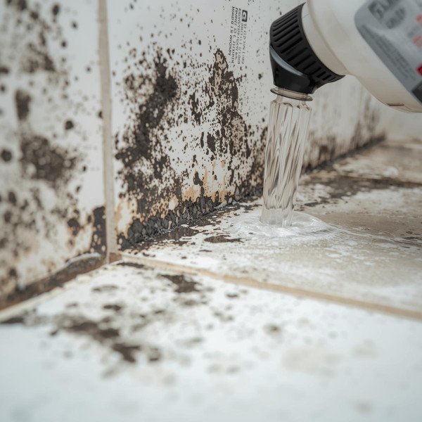 霉菌殺手｜浴室膠邊發黑擦唔甩？12蚊店呢款「噴霧」極速去霉！網民實測：噴完免刷即變白