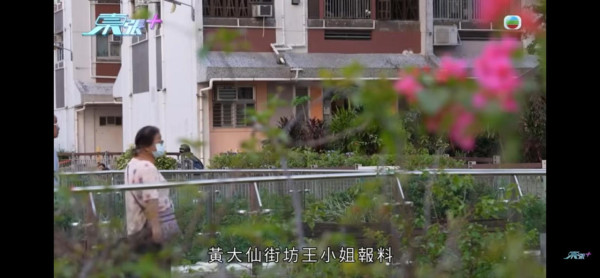 東張西望|黃大仙垃圾屋變「曱甴竇」伯伯瞓走廊8年!義工清出8車垃圾:曱甴密密麻麻