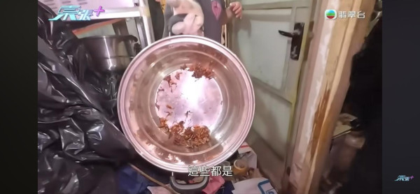 東張西望｜黃大仙垃圾屋變「曱甴竇」伯伯瞓走廊8年！義工清出8車垃圾：曱甴密密麻麻