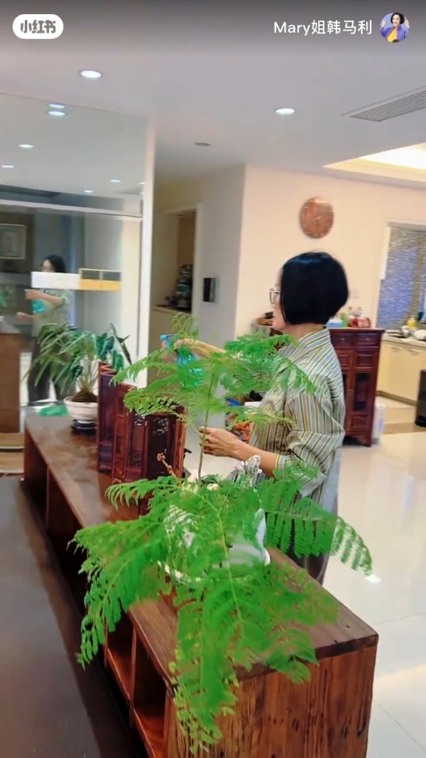 「隱形富婆」韓馬利豪宅大屋曝光！擺滿玉石古董珍藏字畫 真係「大姐書香世代」