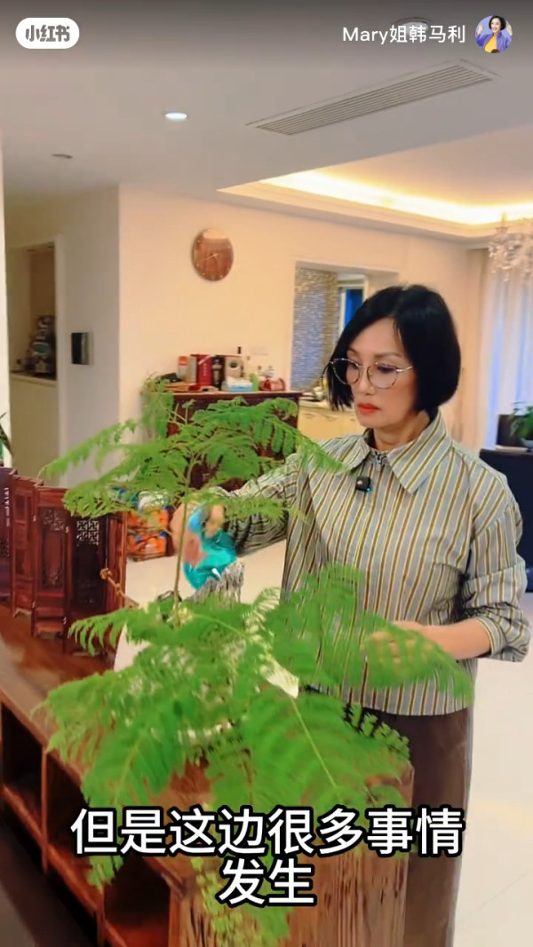 「隱形富婆」韓馬利豪宅大屋曝光！擺滿玉石古董珍藏字畫 真係「大姐書香世代」