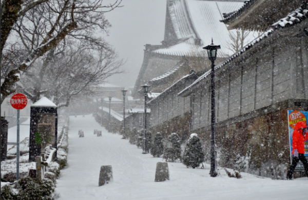 照片來源：網上圖片