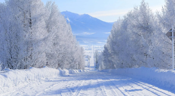 照片來源：網上圖片