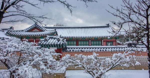 疑中國遊客首爾景福宮下當眾大便 無品行為引眾怒 韓律師批:無法理解