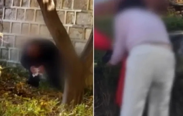 疑中國遊客首爾景福宮下當眾大便 無品行為引眾怒 韓律師批:無法理解