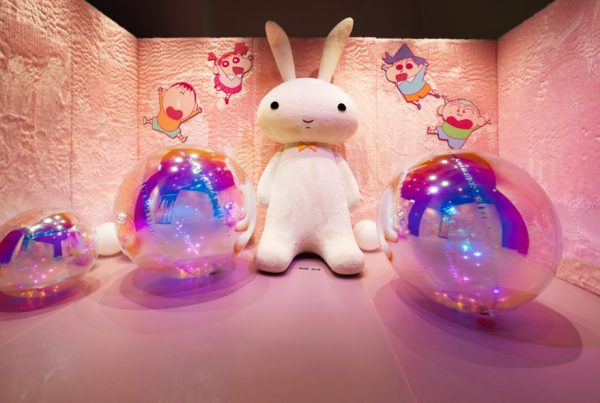 照片來源:網上圖片 照片來源:網上圖片