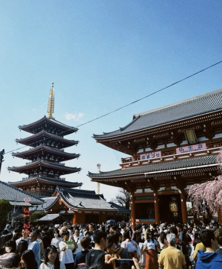 照片來源：小紅書