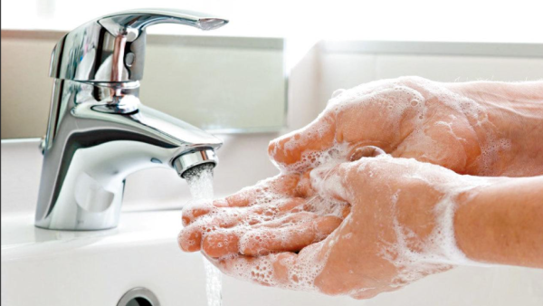 照片來源：網上圖片 