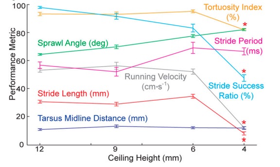 明明一腳踩扁！曱甴屍體為何會「離奇消失」？研究驚揭恐怖真相：根本冇死到！