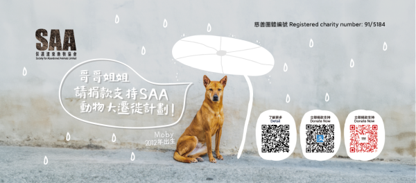 赤柱聖誕市集2025｜10周年「薑」味主題 過百攤檔掃街攻略＋免費穿梭巴士/泊車預約懶人包